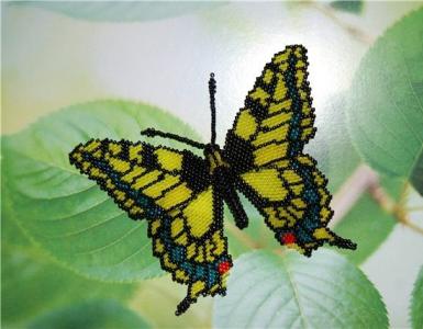 Бабочка из бисера: схема плетения и пошаговый мастер-класс для начинающих